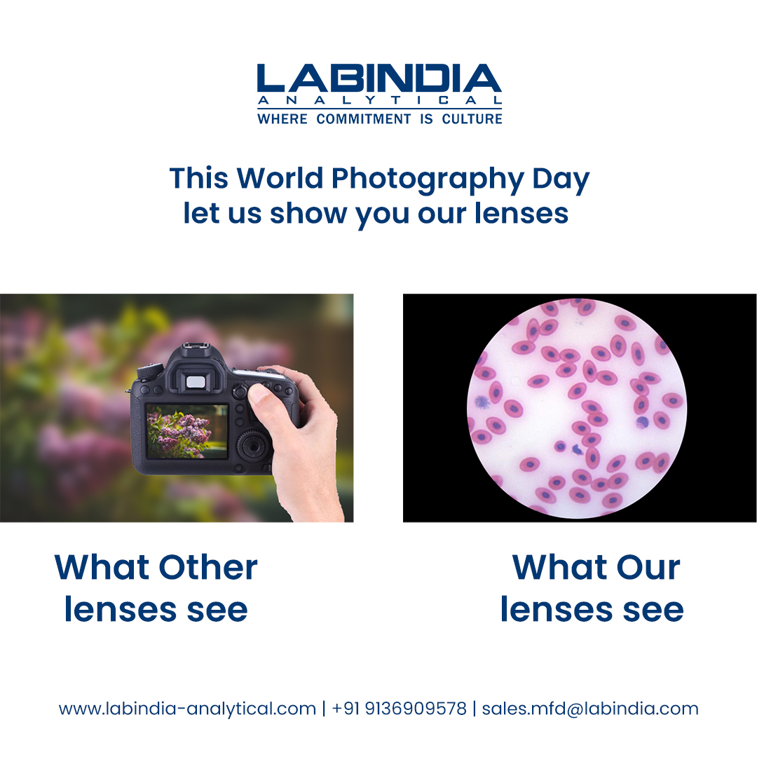 Happy World Photography Day
Exploring a Microbial Universe on World Photography Day! Through our lenses, even the tiniest life forms shine bright 📸🔬
.
.
.
#labindia #labindiaanalytical #analyticalproduct #lenses #WorldPhotographyDay #MicroscopicBeauty #Microscope