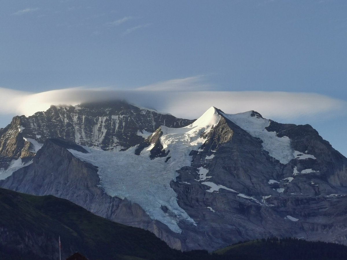 Matthias Egger tweet media