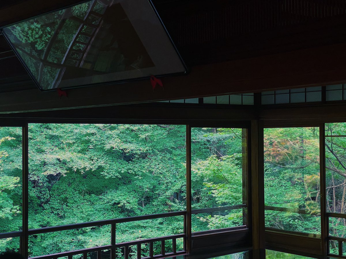 sqndra's tweet photo. 夏の緑 https://t.co/rKsW7p9hKS
