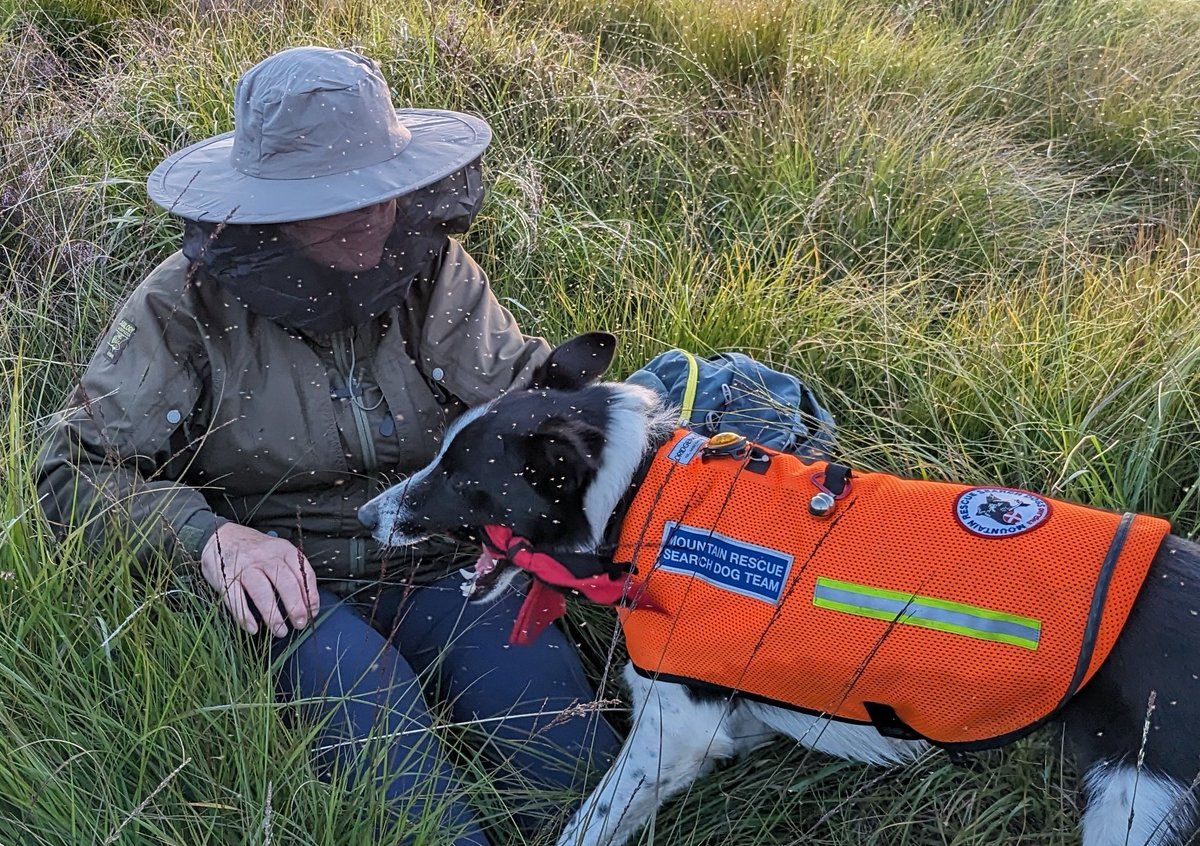 Mountain Rescue Search Dogs England (@mrsearchdogseng) on Twitter photo <a href="/edalemrt/">EdaleMountainRescue</a> Spot the midge competition. <a href="/edalemrt/">EdaleMountainRescue</a> Spot the midge competition.
