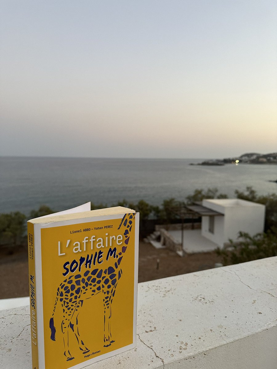 Le roman de l’été ! A lire, by mon ami <a href="/lionelabbo/">lionelabbo</a> et Yohan Perez #LaffaireSophieM