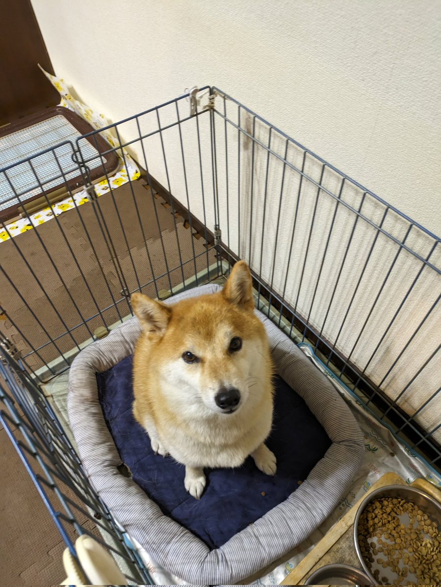 新開 (@mnr_49) on Twitter photo 