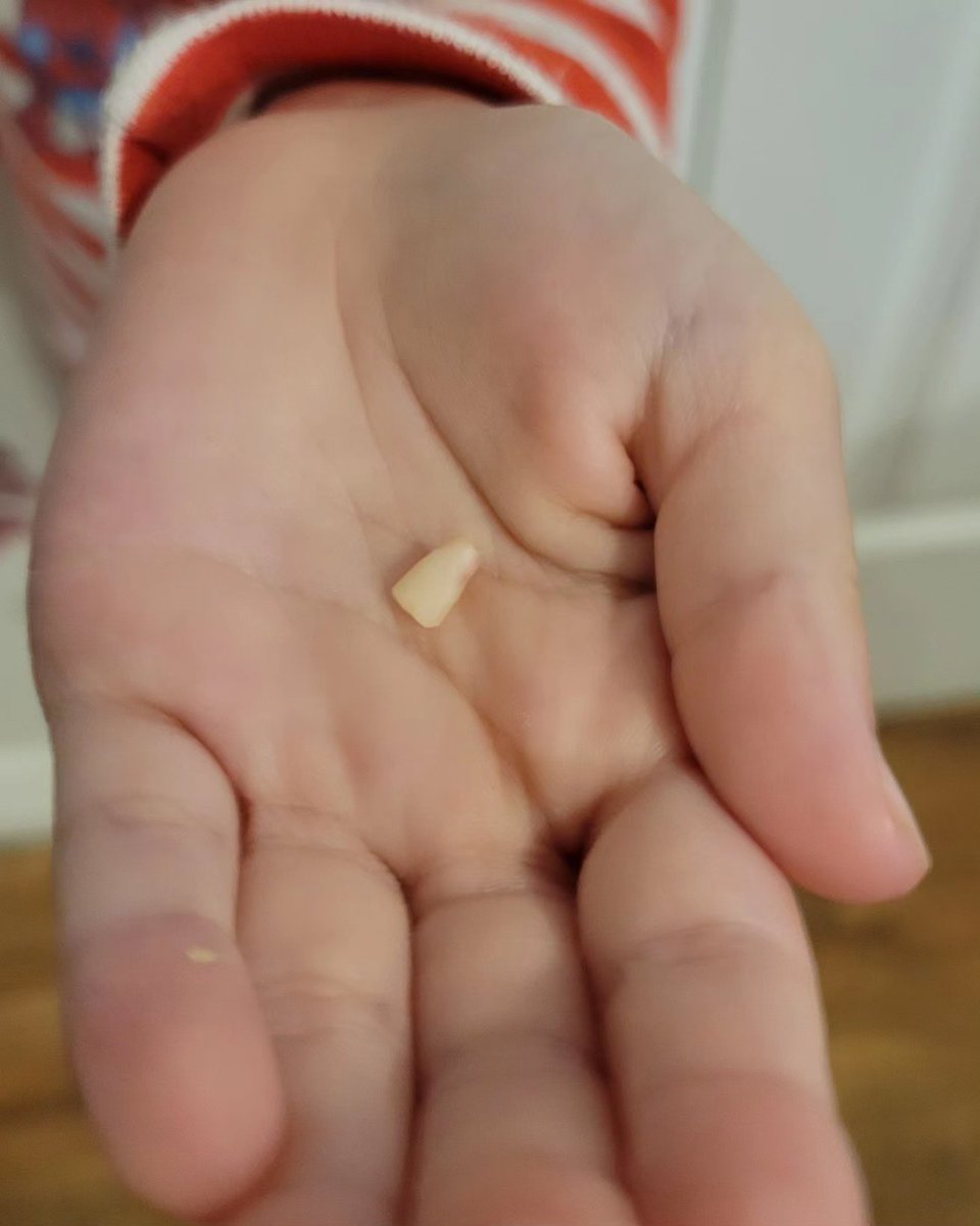 Someone lost their first tooth!🦷#soexciting #visitfromthetoothfairy🧚‍♀️ #first #tooth #babyteeth #toothfairy