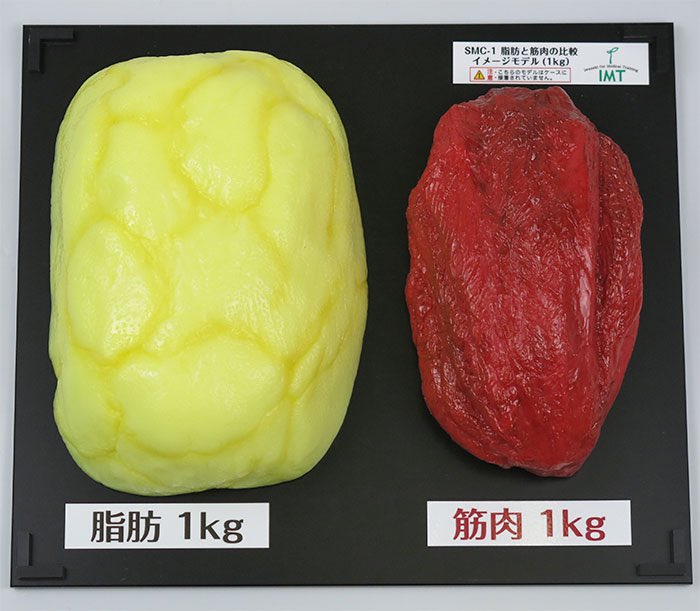 脂肪1kgと筋肉1kgの違い】 体重が軽ければいいという問題ではなく