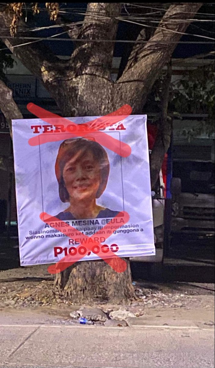 CagValMakabayan's tweet photo. Today, August 19, World Humanitarian Day, the NTFELCAC just made me famous. They posted this along the highway of Brgy Pengge in Tuguegarao.  I AM AN ACTIVIST. 
A HUMAN RIGHTS WORKER 
NOT A TERRORIST.

Defund NTFELCAC.
Scrap Confidential Funds. https://t.co/ABuWb4luE3