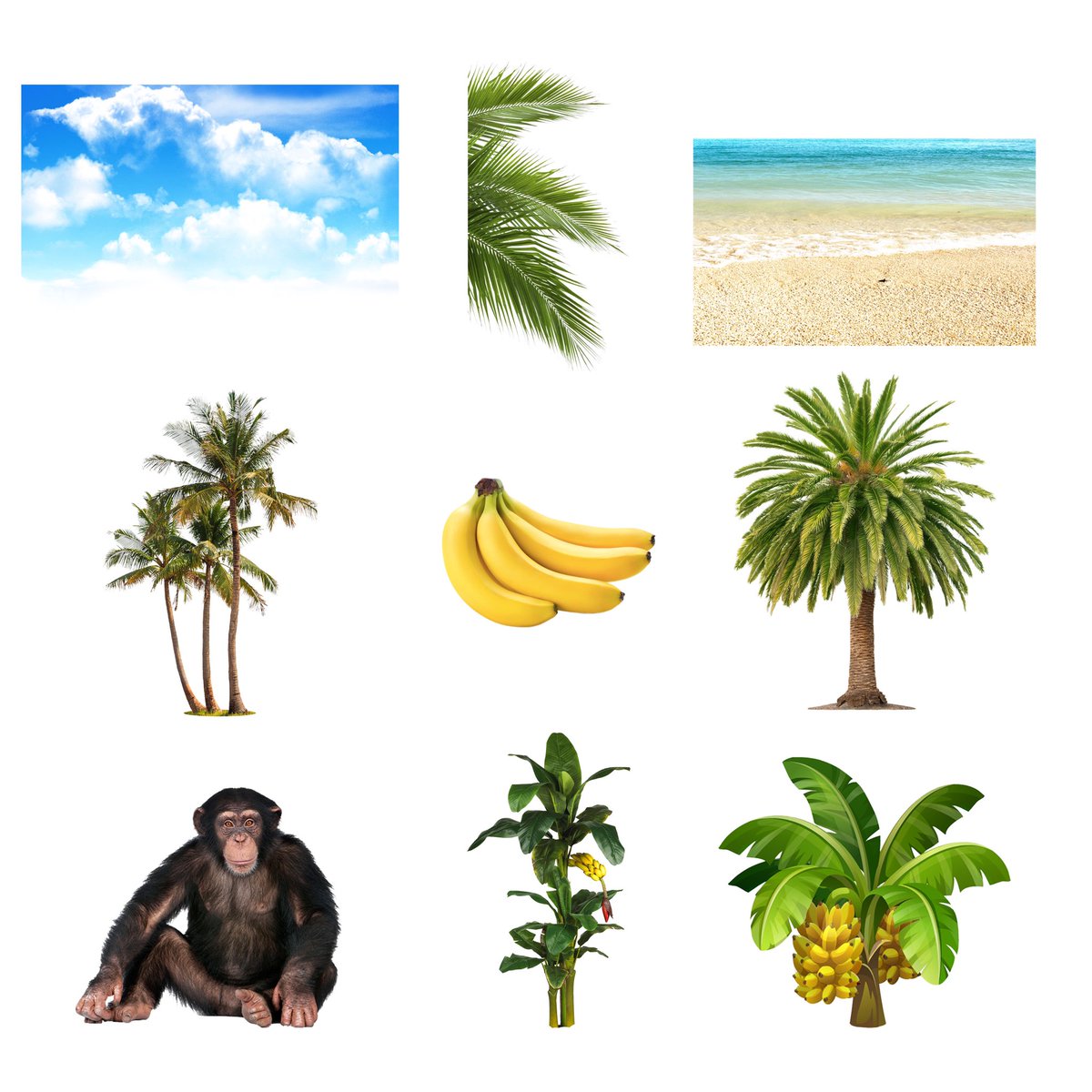 SummitDesigns9's tweet photo. A view of lucid manipulation to start your weekend🍹. l’d be glad to see y’ll ratings 🫠
#LearningJourney #GraphicDesign 
Items download                  My manipulation https://t.co/TuIhO2lIhn