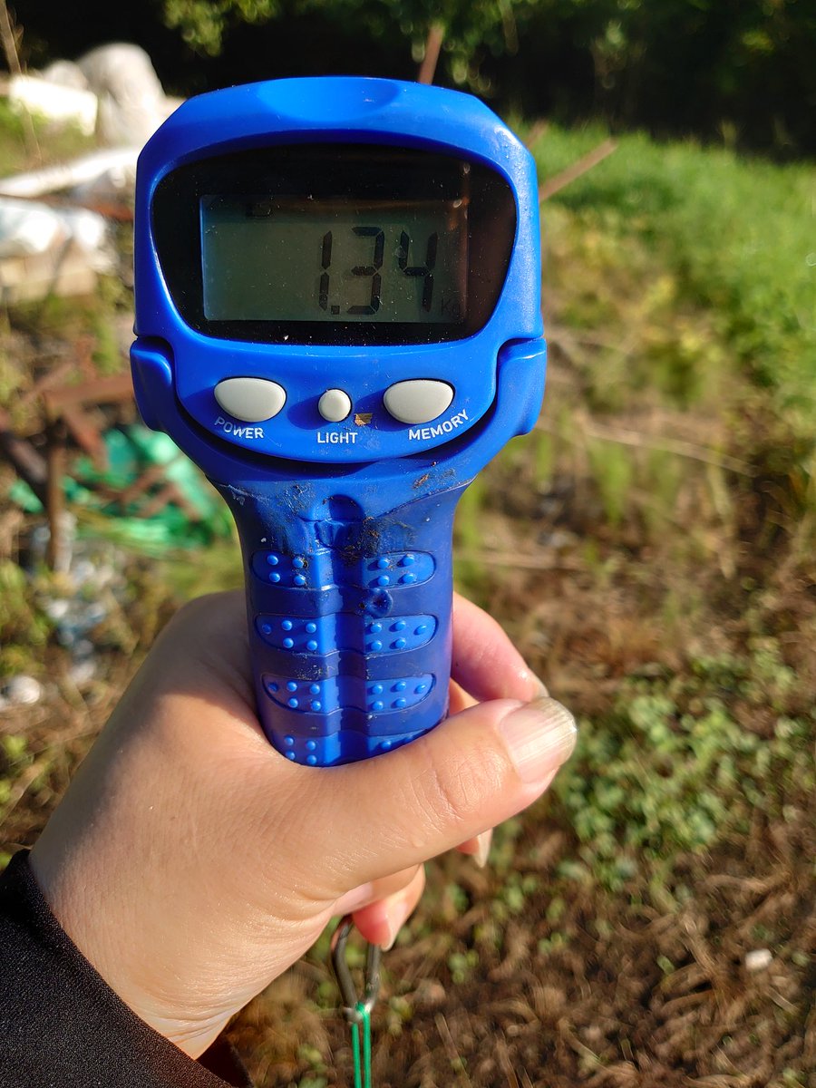 day_ero's tweet image. 朝から暑いけど久々の朝活！
ウィードエリア付近を
Hooze DEAD WAKE modeで！
ウェイトは自作の2gウェイト。
#DIVISER
#DEELAKEORDER
#Hooze
#DEADWAKEMODE
#レイドジャパン
#raidjapan
#グラディエーターアンチ