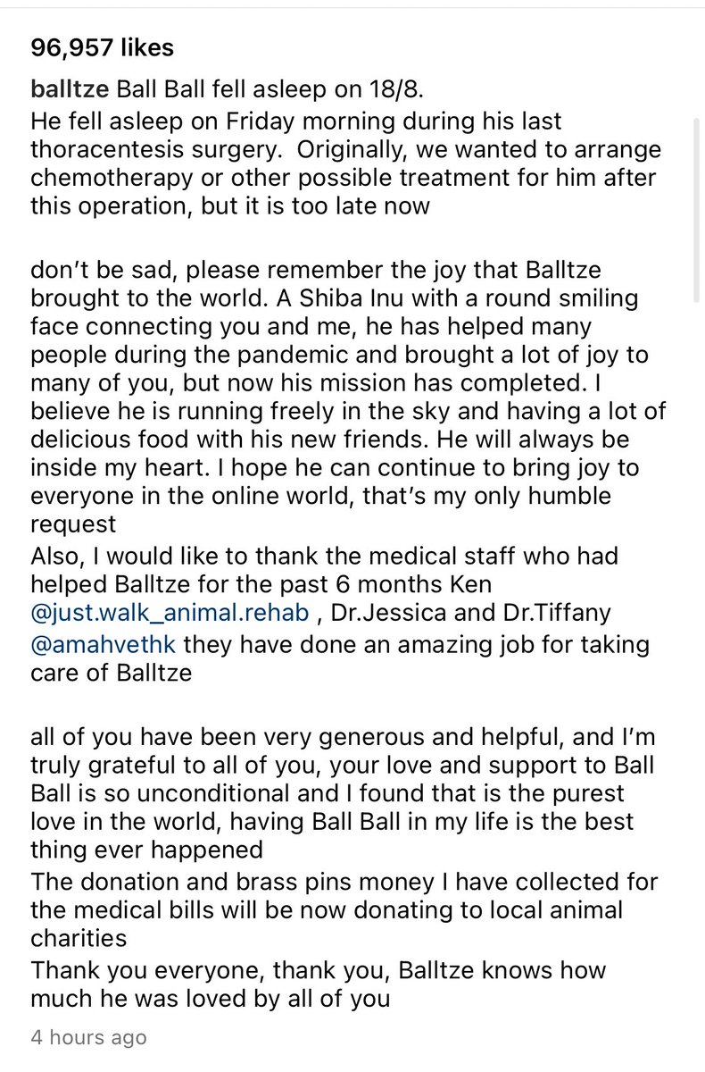 Balltze, aka Cheems, has left us. This funny yellow dog brought joy to so many. We will miss you, <a href="/Balltzehk/">Balltze</a>. 😪