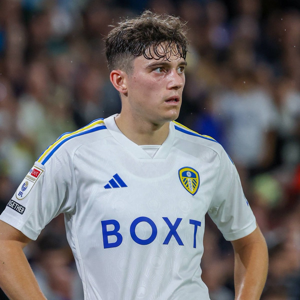 LUFCMOT tweet media