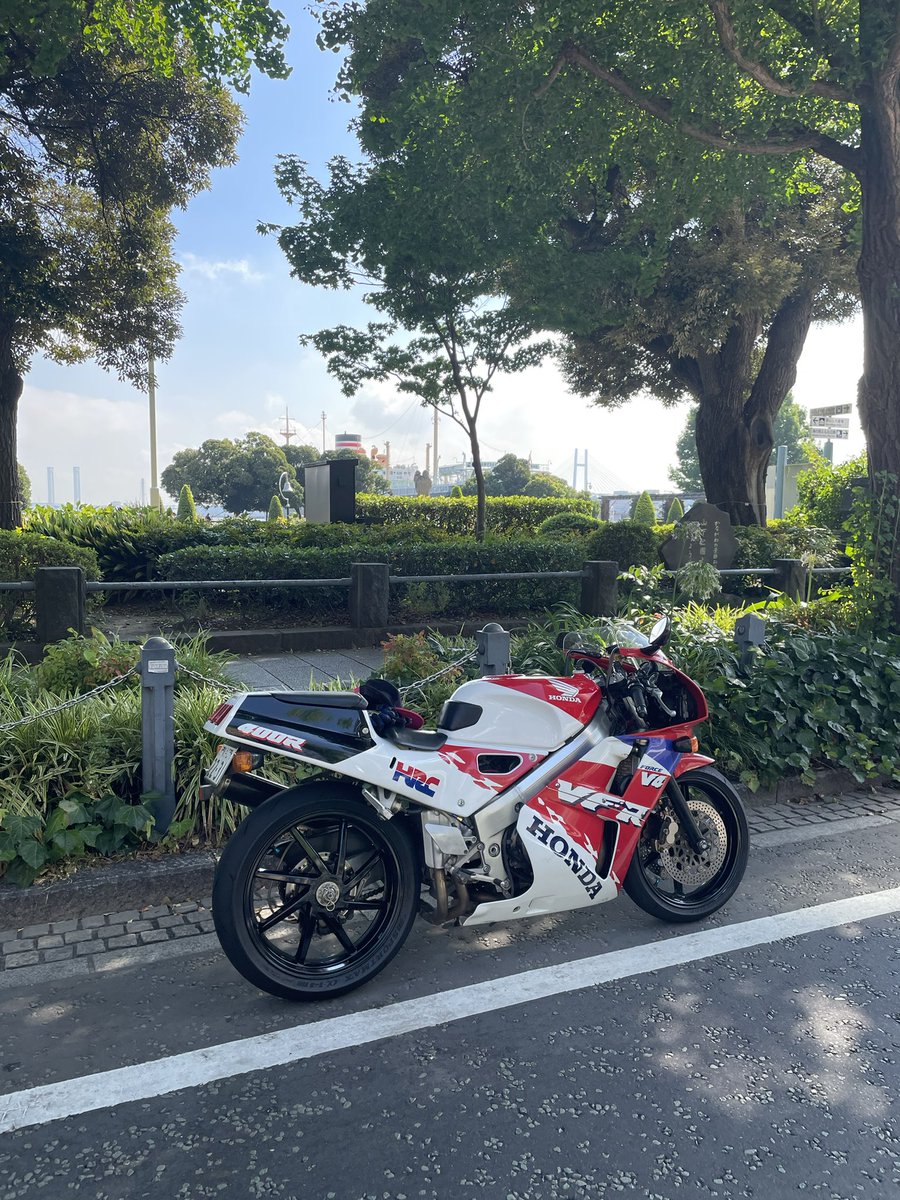 バイクの日❗️
乗れる時間に仕事終わったけど、今日はやめときます🥲

#港街
#の
#夏の朝
#横浜
#山下公園
#baycity
#v4
#nc30
#nc35
#rc30
#rc35
#vfr400r
#バイクの日