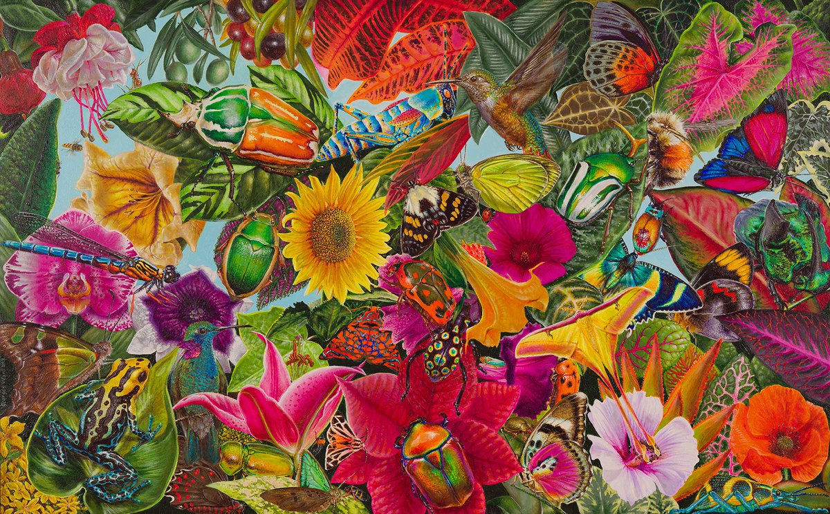 georgesward's tweet image. 𝗚𝗲𝗼𝗿𝗴𝗲𝘀 𝗪𝗮𝗿𝗱 • 𝑴𝒊𝒌𝒓𝒐-𝒌𝒐𝒔𝒎𝒐𝒔 𝑰 • acrylic on wood panel • 2023 • 30 x 48,5 cm.
Una pintura que forma parte de la obra de gran formato Makro-kosmos de un total de 36 obras #macrocosmos #microcosmos #insects #acrylicpainting