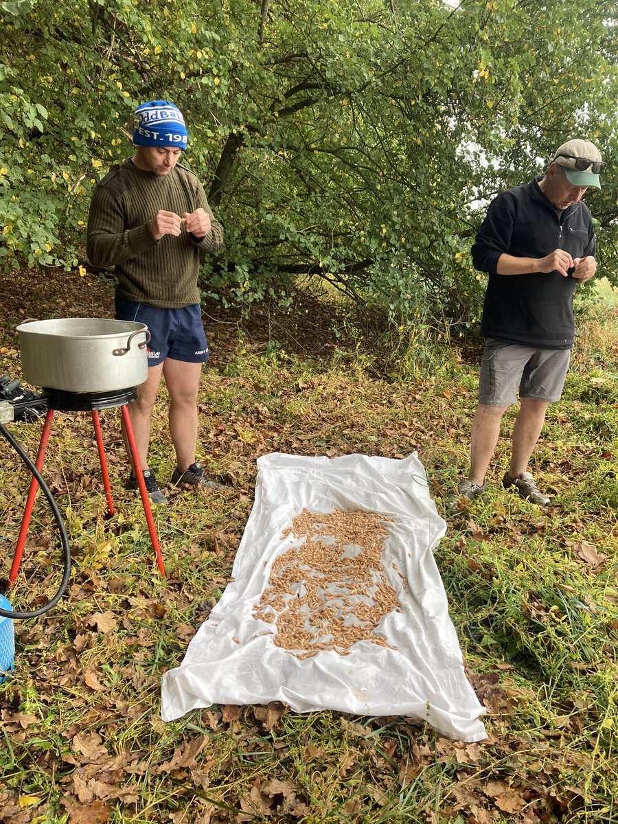 Severn Piscator tweet media