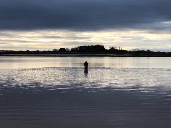 Severn Piscator tweet media