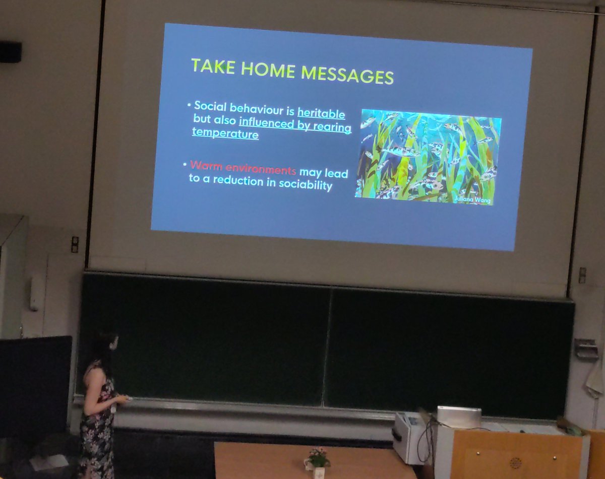 Great final talk by Natalie Pilakouta! #Behaviour2023