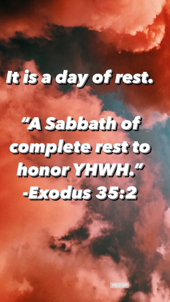 FamilYAHTrends's tweet photo. Happy Sabbath! May this day be a time of rest, peace, and worship. Let us take this time to reflect on YHWH's goodness and to renew our commitment to Him. #ShabbatShalom
#7thDaySabbath
#Sabbath
#Shabbat
#Yahuah
#Yahusha
#YHWH
#Messiah
#Redemption
#Rest
#Holiness https://t.co/wt1JIR9KQ4
