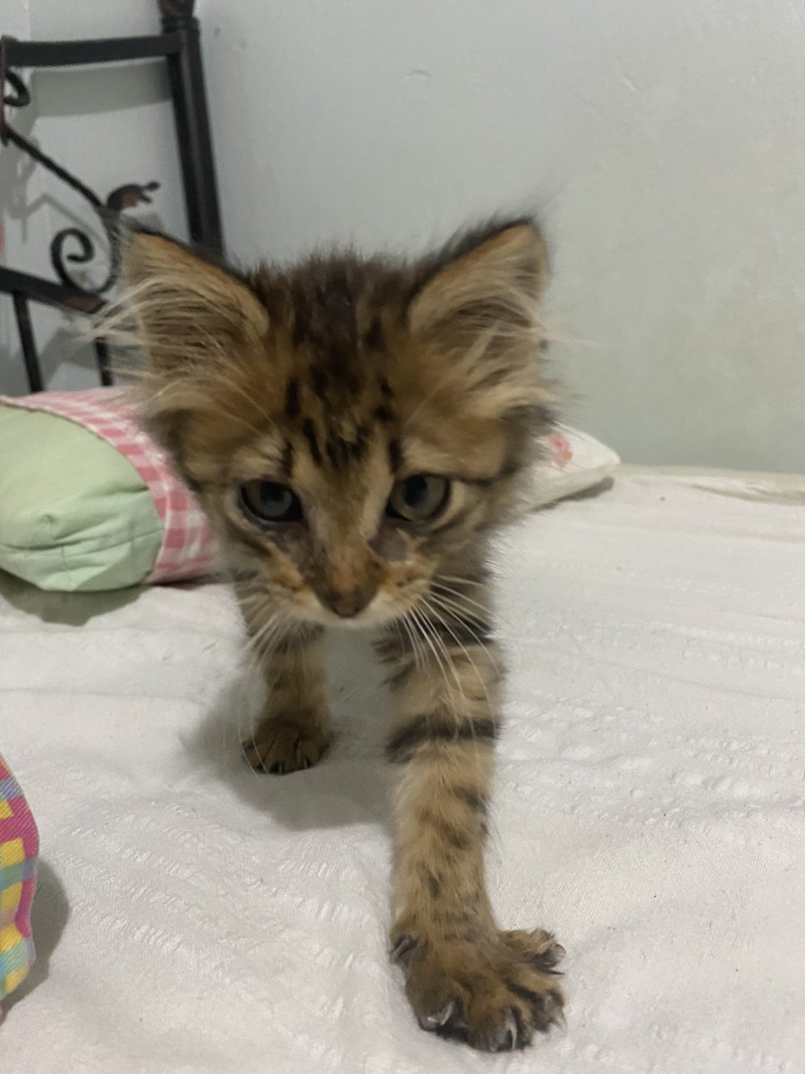 Seni çok özledim oğlum