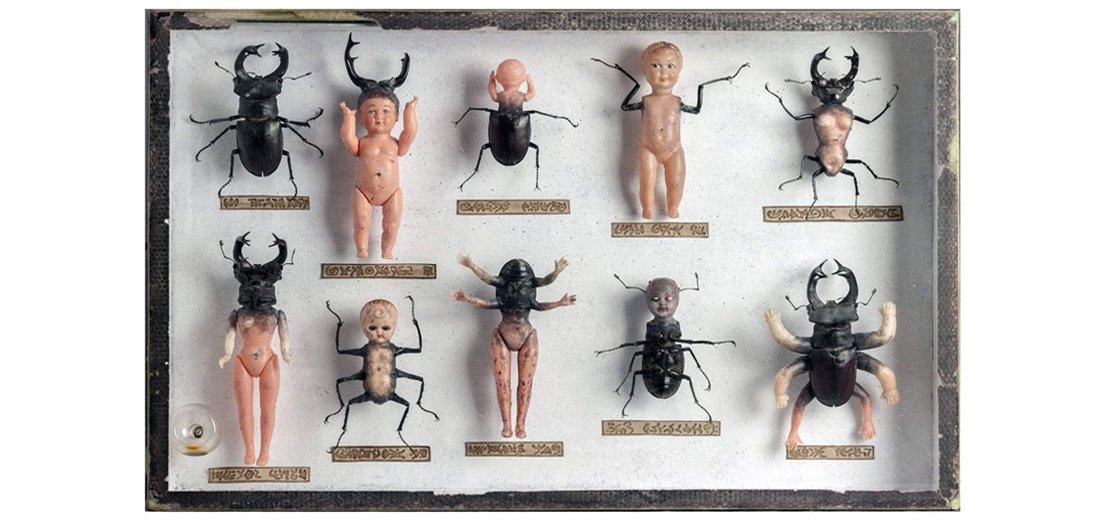 Doll-beetle hybrid cabinet by Laurent Gauthier.