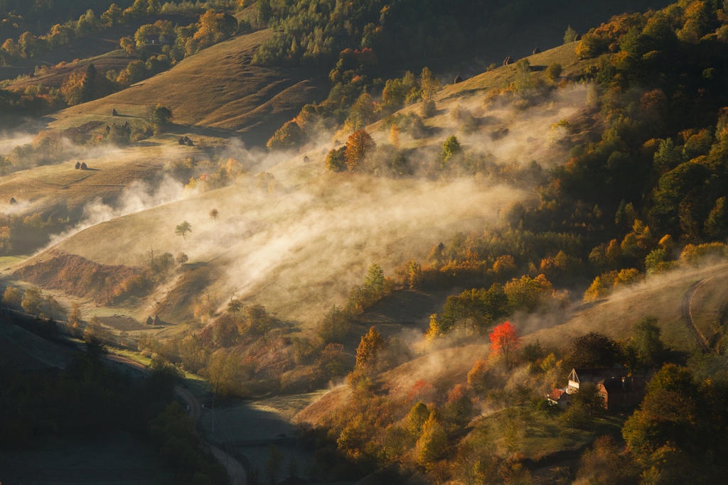 dotART_it's tweet photo. Mythography Pic of the Day

"Mist In The Lands"
by @ Cristina Garlesteanu https://t.co/bz8T7DnzvZ