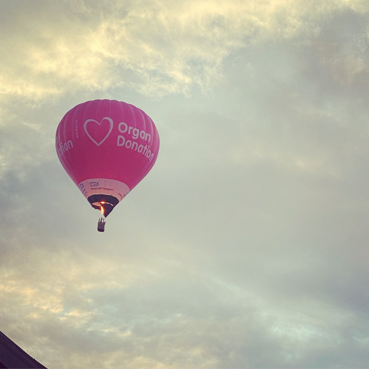 Leanne Knight (@knight__leanne) on Twitter photo Fantastic to see Betty the <a href="/NHSOrganDonor/">NHS Organ Donation💗🫀🫁</a> balloon flying over the skies of #Bristol last week! #yesidonate #havethechat #bristolballoonfiesta #southwestisbest Fantastic to see Betty the <a href="/NHSOrganDonor/">NHS Organ Donation💗🫀🫁</a> balloon flying over the skies of #Bristol last week! #yesidonate #havethechat #bristolballoonfiesta #southwestisbest