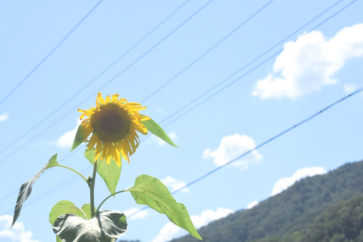 MemoMemo_27's tweet photo. #キリトリセカイ https://t.co/CnzDq6sLR4