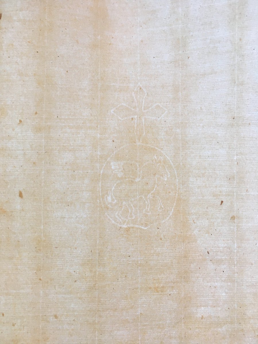 Laura Moretti tweet media