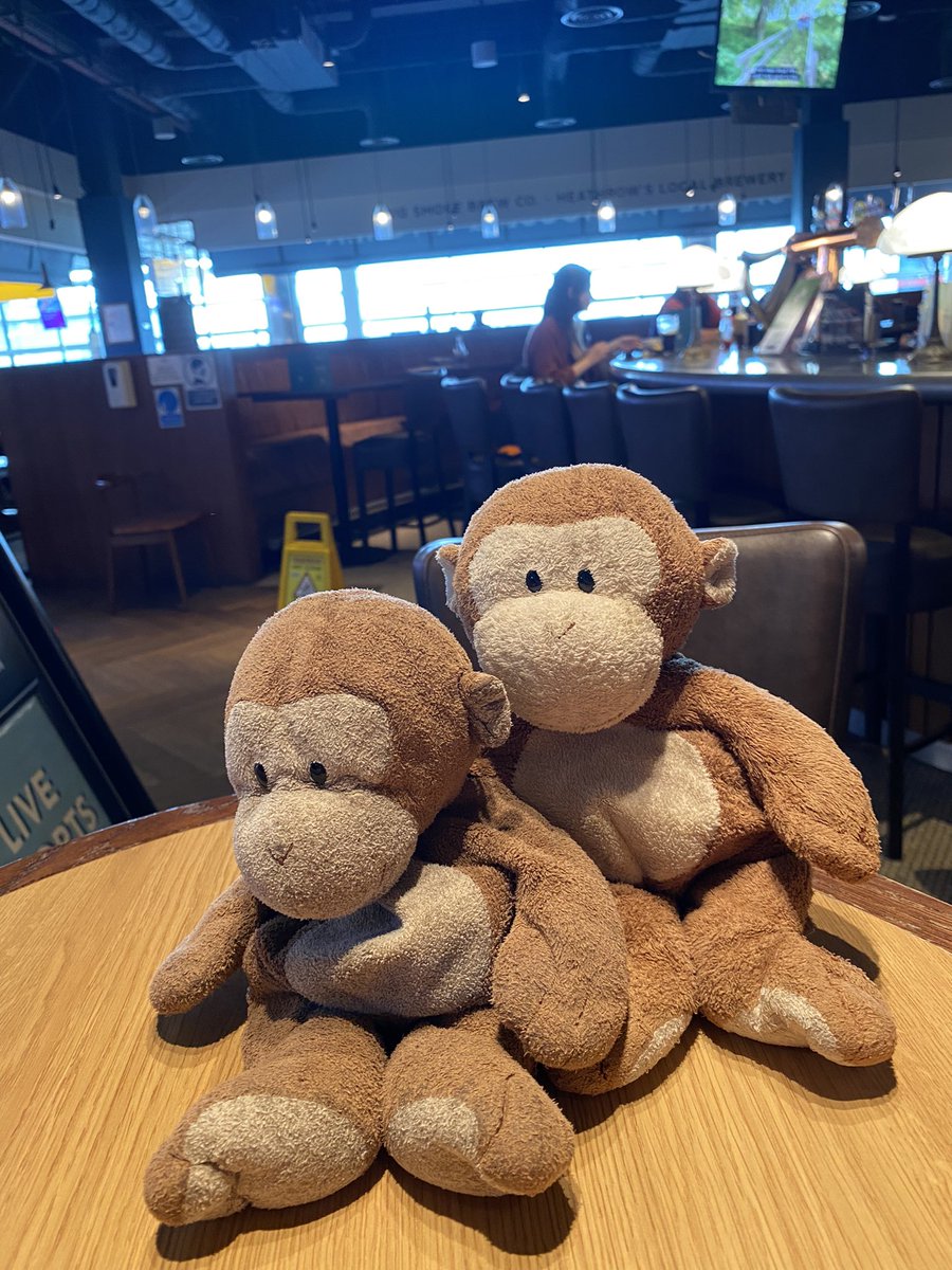 GpSmnky's tweet photo. Found my best buddy at Heathrow!!!!  Let the Irish 🇮🇪 adventure begin!!!! https://t.co/DajmZVPyWN