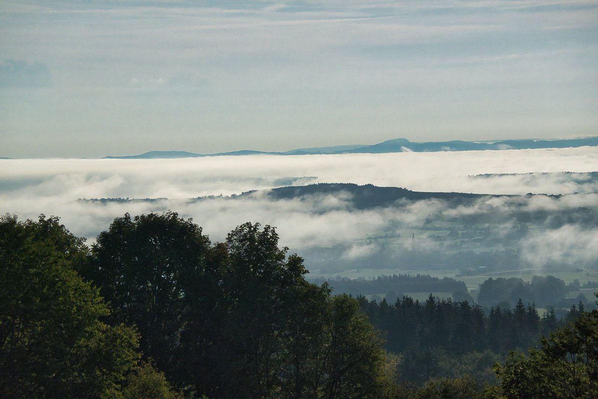 VogelsbergBlog's tweet photo. Das Wetterphänomen der Inversionswetterlage ist ein beeindruckendes Naturschauspiel, das regelmäßig im Hohen Vogelsberg zu bewundern ist.
Mehr in unserem BLOG https://t.co/PzFBBnHmyx

#fotografie
#landscape 
#hessen 
#NaturePhotography https://t.co/WH38KqbXKB