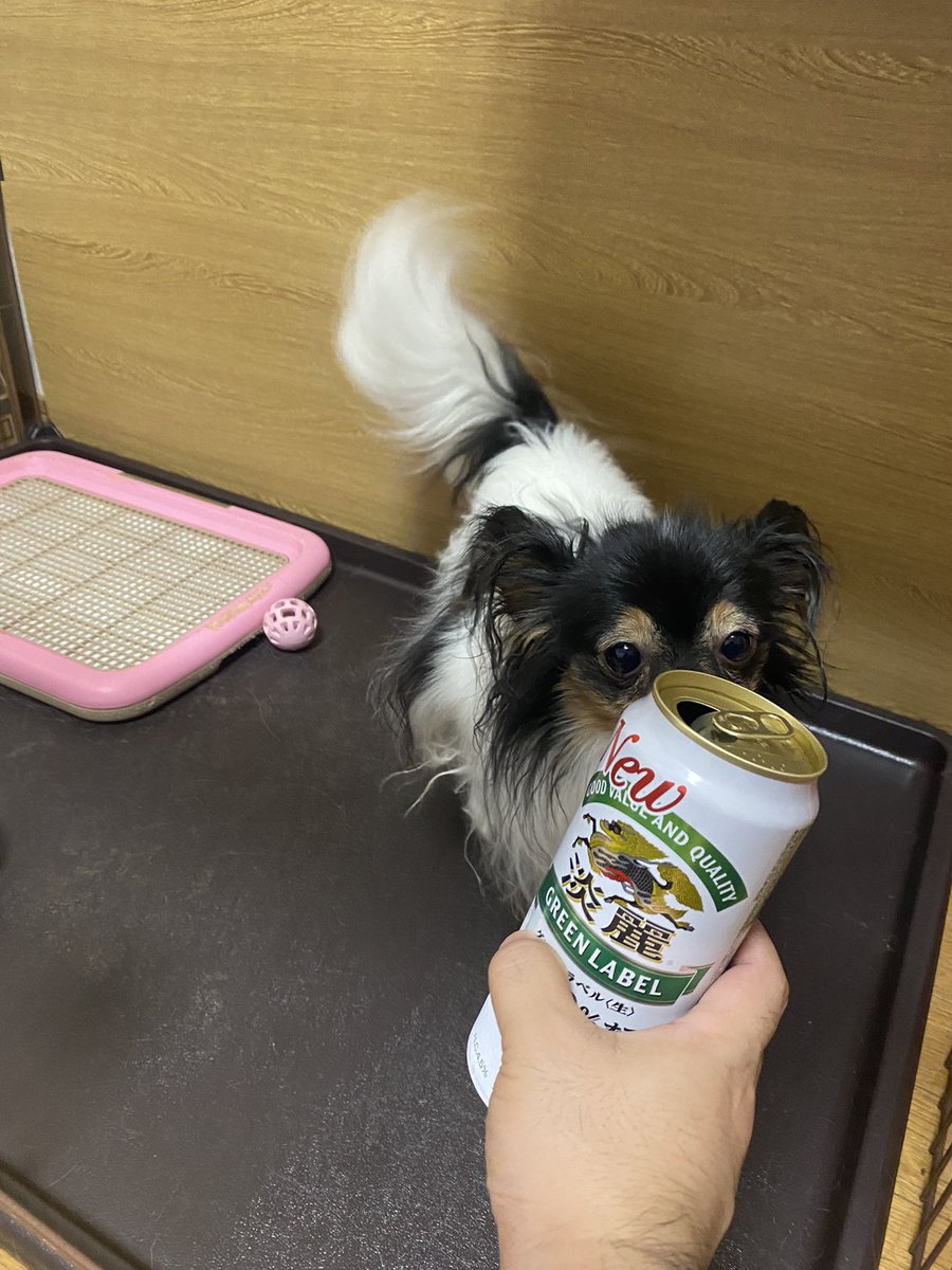 Mer_704's tweet photo. 皆さん今週もお疲れ様です😊 https://t.co/scJYqj3LRZ