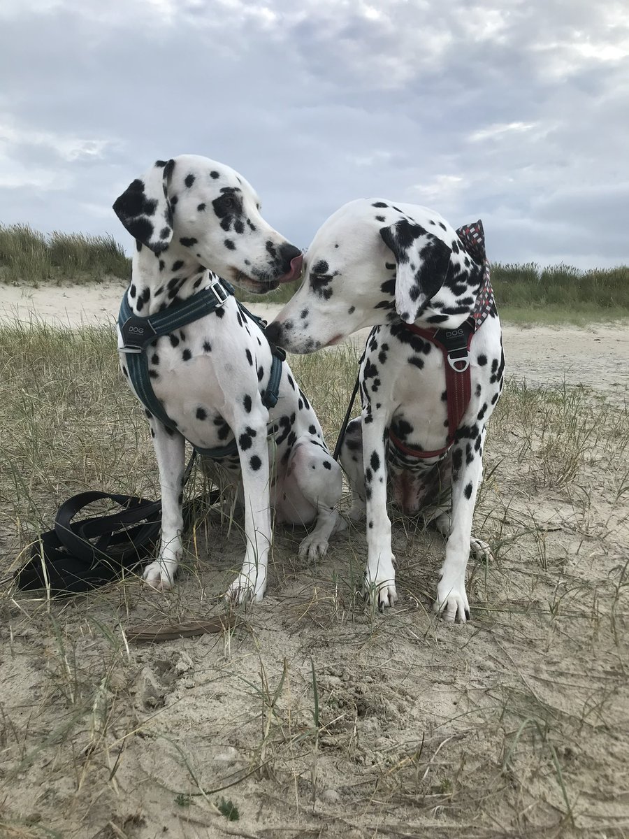 Inge Jansen 🌞 tweet media