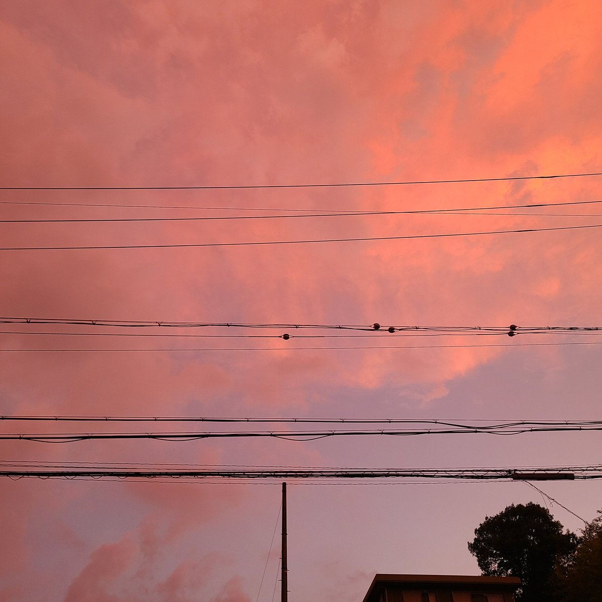 赤い空