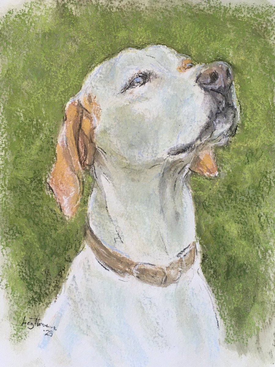 Sky
Trying diluting pastels with alcohol.
#drawingaugust #sketch #sketchart #unisonpastels #bigartboost #dogportrait