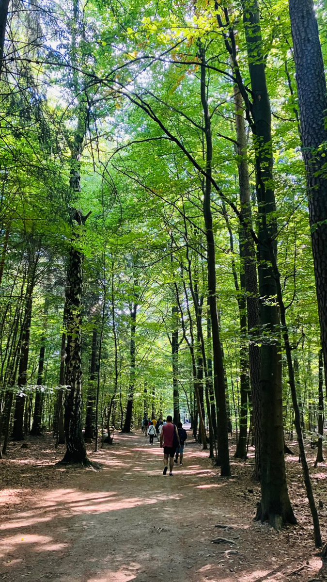 AGandioso's tweet photo. Incredible Hiking around Elbe Sand Stone Mountains! Big thanks @AvHStiftung for this first amazing week of #AvHStudyTour History 🏰, city tours, wine tasting 🍷 , and trying to find extra funding in a gold mine ⚜️🏅 (Alexander von Humboldt was here.) 🇩🇪🧬🧪#humboldtians #research https://t.co/X4ISKLeV1s