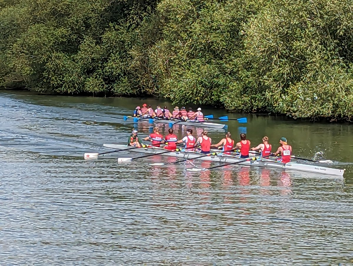 JohnWigginsOX5's tweet photo. Sadly neither @TeddiesRhubarb will grace the final. Bring on the #sprinteights. https://t.co/4f8NARuZKQ