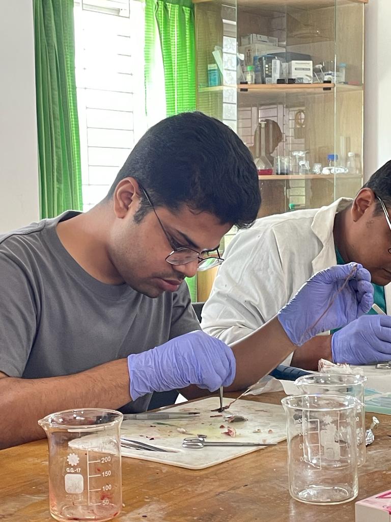Mdmefta's tweet photo. SAMPLING  DAY at Laboratory of Fish Ecophysiology 
#fishphysiology #microplastics #toxicology #spirulina #chromium https://t.co/sQ2Scu3KRJ