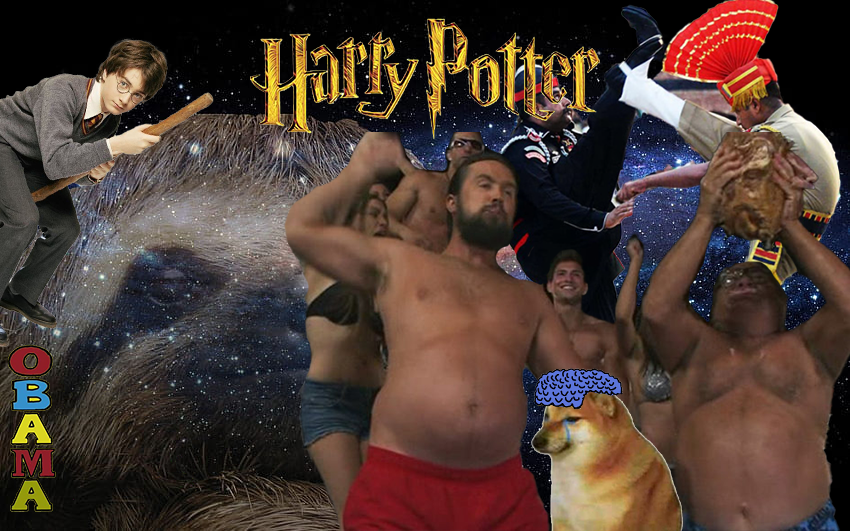 whiterussian07's tweet photo. This madness will never stop, will it? #HarryPotterObamaSonic10Inu https://t.co/pC3N7aFV2M