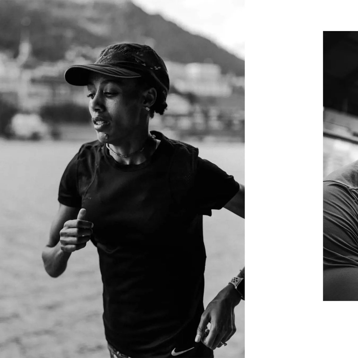 The Big Run tweet media