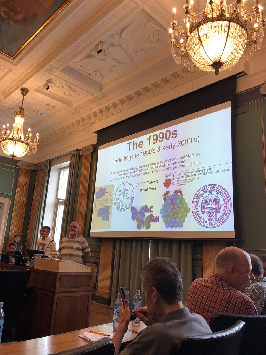 hweiyenchen's tweet image. A wonderful event for Koos Boomsma, the great giant in social evolution. His 40+ years of research has inspired so many people 💪 Glad to have been one of his academic offspring ❤️Thank Jon, Michael and Susanne for organising!