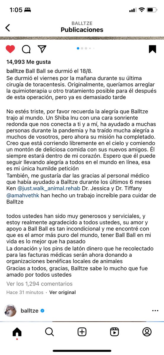 medardomx's tweet photo. Lo más bonito que pude haber visto durante la pandemia. 🥺💔 Hoy se nos fue el perrito de los memes y stickers más famoso del mundo, Balltze, mejor conocido como Chems. 🥺🥺🥺 https://t.co/jXhGyERm3o