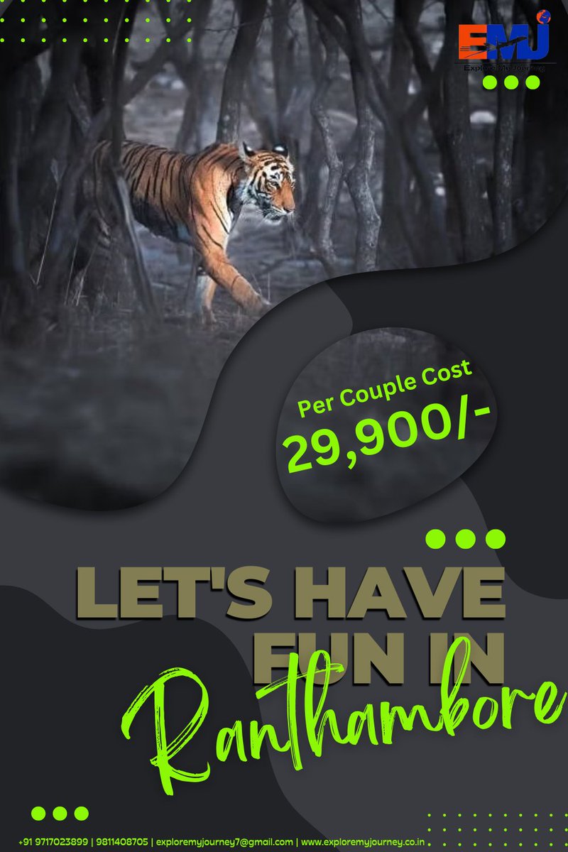 #exploremyjourney #wildlifetours #ranthamboresafaritour #rajasthansafaritour #junglesafari #rajasthantourpackage #jaipurcitytour #historicaltour #educationaltour #grouptour #birdwatchingsanctury #rajasthanbirdsanctury #tigerreservesanctury #ranthamboretigerreserve