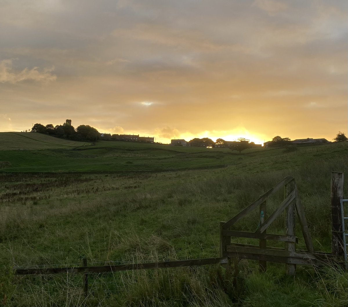 andyb066's tweet photo. Good morning @runningpunks No running for a couple of days due to the new ink but the dog walks continue as ever @BipolarUK #poletopolechallenge @SOBScharity #stepwithsobs #muddymilesformegs Intriguing to see the RP heron in the top field 🤔 #runningpunks https://t.co/cLVXnScqhK