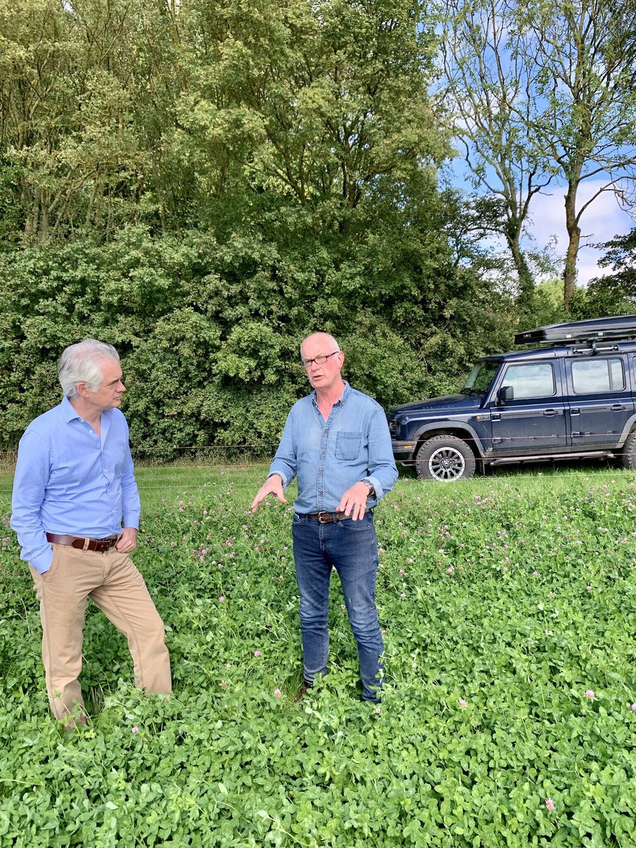 John Pawsey 🌞 tweet media