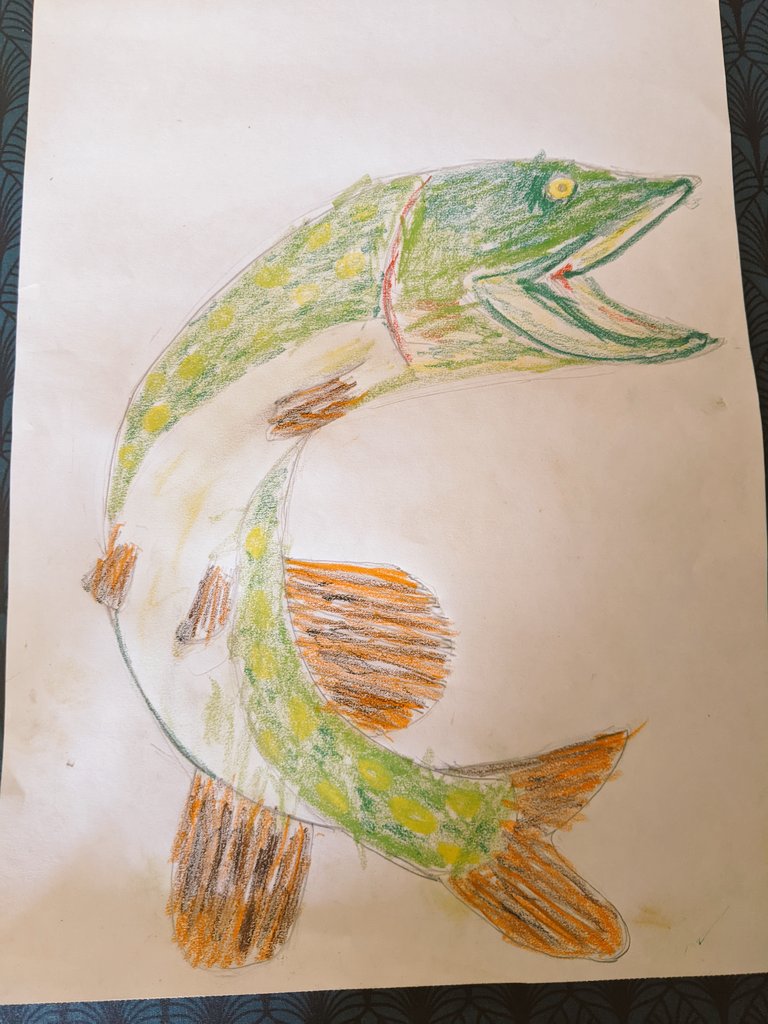 Northern pike. Hecht.