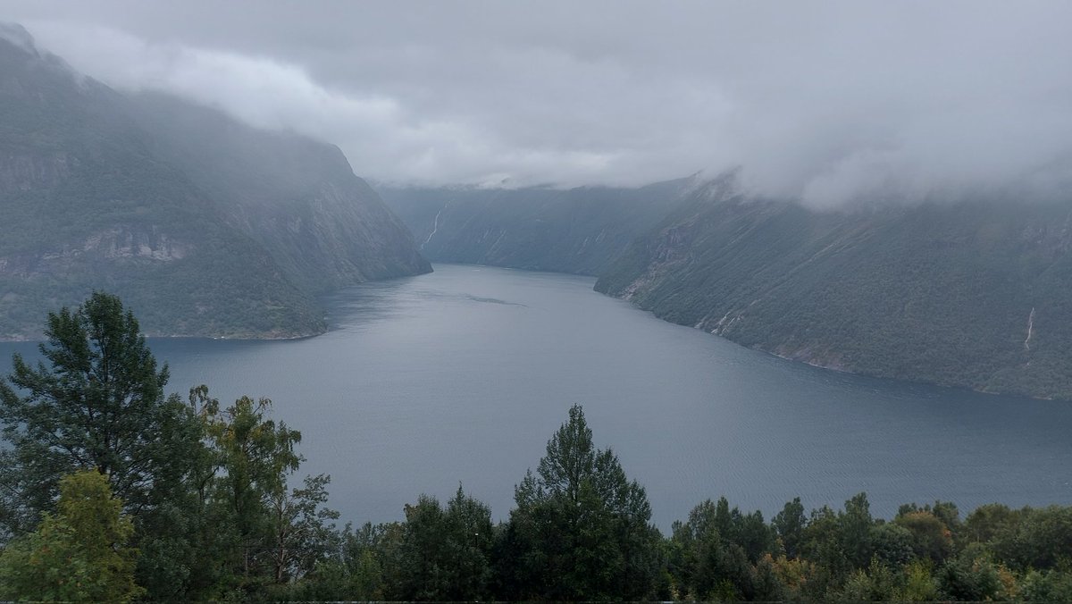 Prof. Richard Kyle tweet media