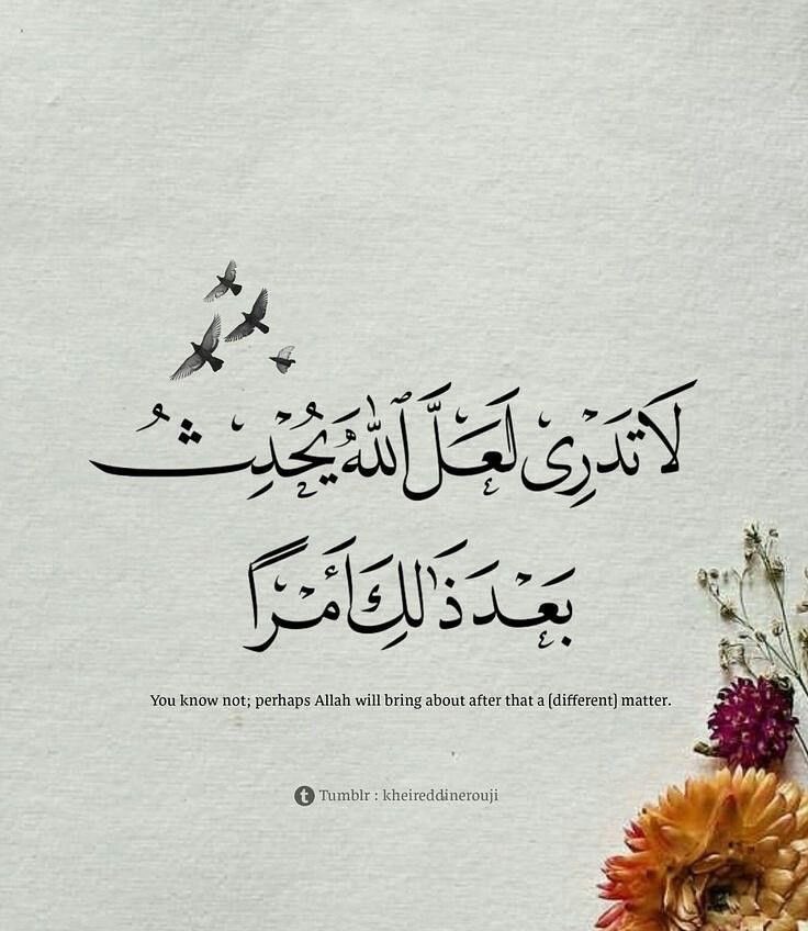 a2Roo76d's tweet photo. هذه الأيامُ ثقيلة يارب، وعبدكَ في غايةِ الضعف، وروحهُ هزيلةٌ للغاية.
يارب،
لَم يَعُد في صدري مُتسَعٌ لحزنٍ آخر..
❤
__ حياة حسن. https://t.co/jKLfReleRC
