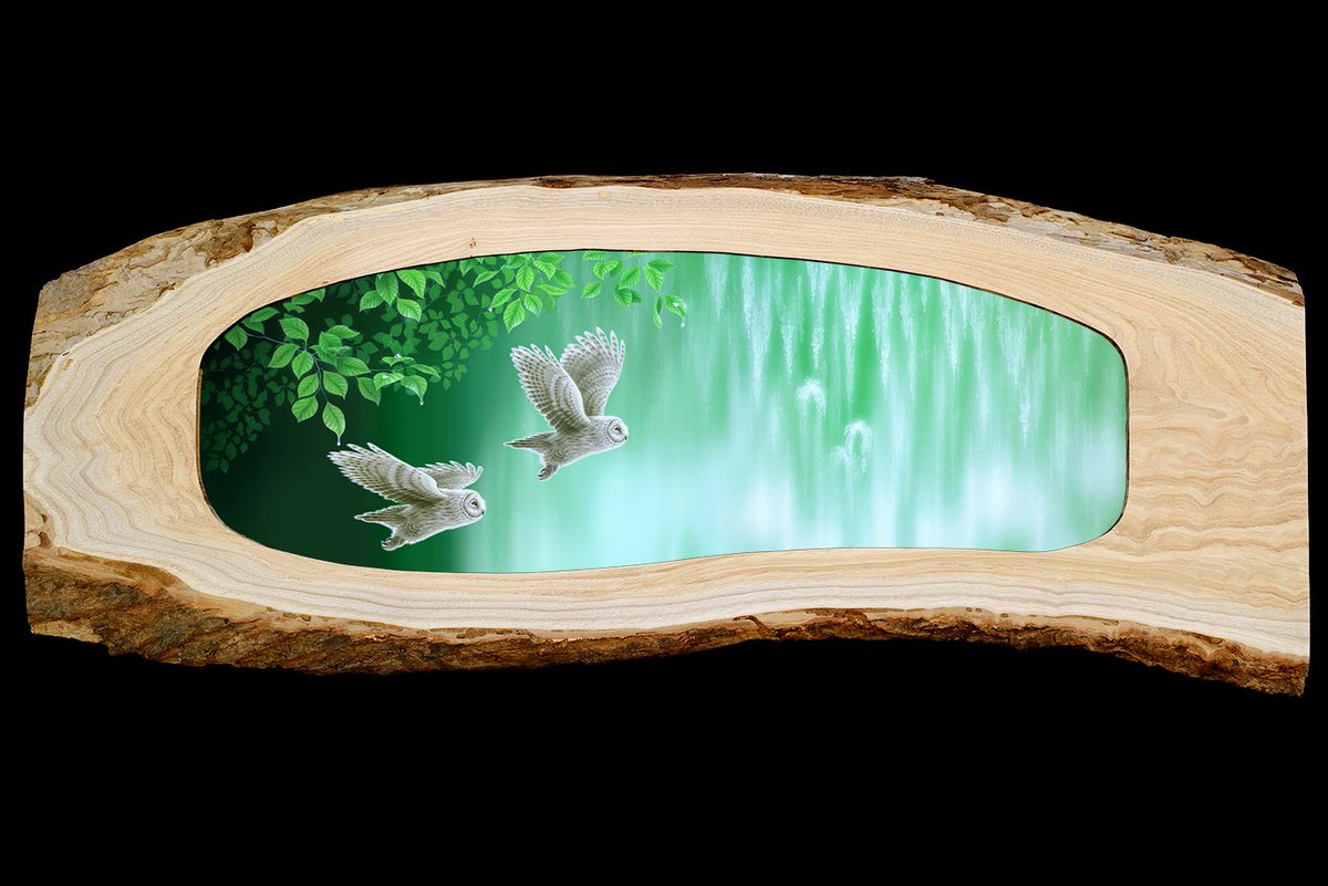 kentaro_art's tweet photo. "Fresh Green Wind" #Owls
「新緑の風」#フクロウ 原画
新緑の滝の側に2羽のフクロウが飛ぶ様子を、クリの木額に収めた作品です。
9月の神奈川、大阪で開催のジャパンアートエキスポに出品します。
#saveowls #saveforest #owlart #kentaronishino #フクロウアート #森 #滝 #画家 #西野健太郎 https://t.co/2c6TkCIZyR