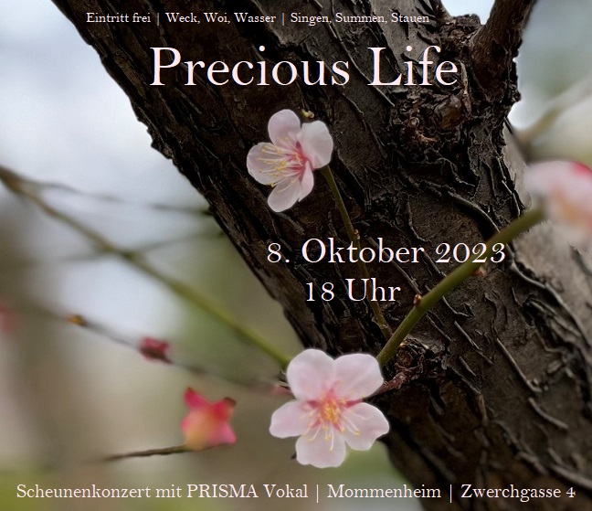 PrismaVokal's tweet photo. Herzliche Einladung zu unserem nächsten #Konzert: https://t.co/cq456TogJA
