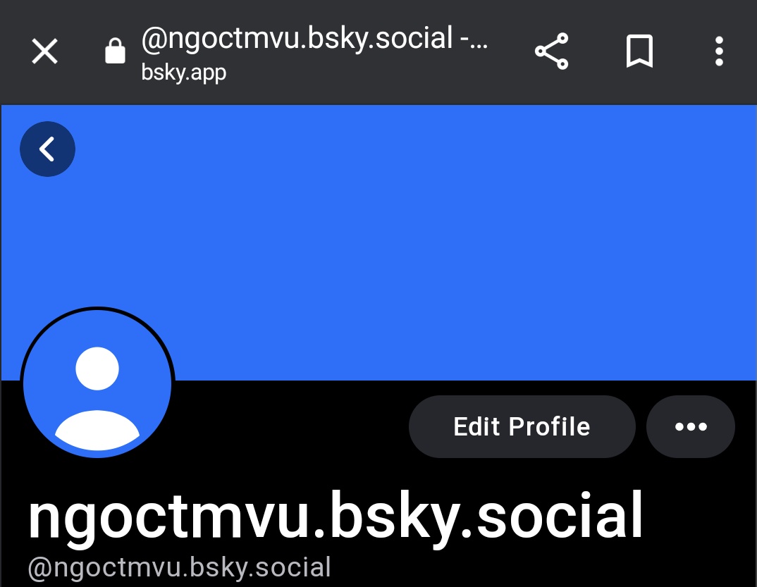 ngoctmvu.bsky.social 🇸🇩 tweet media