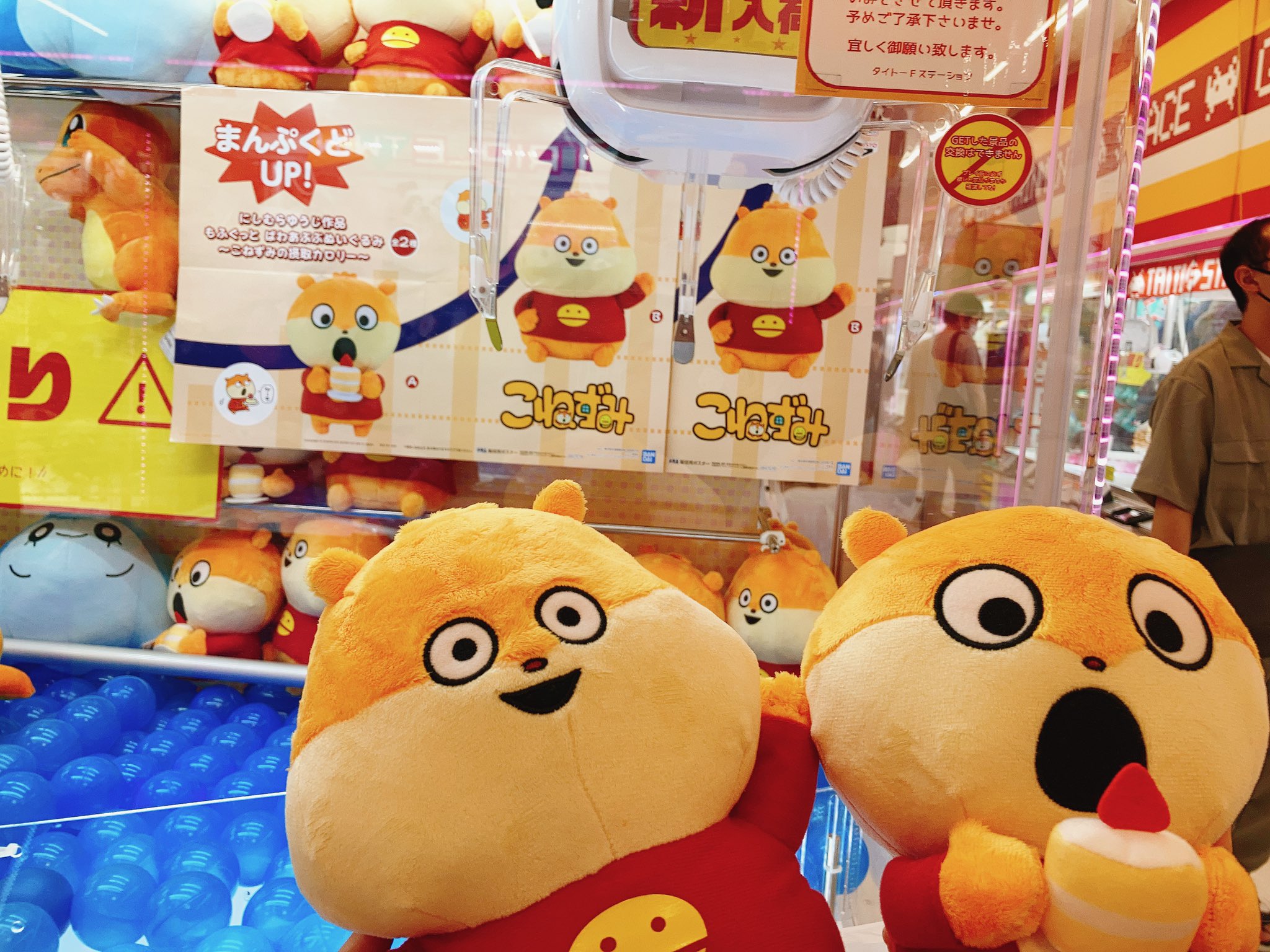 タロちゃん タロちゃん - Search / X