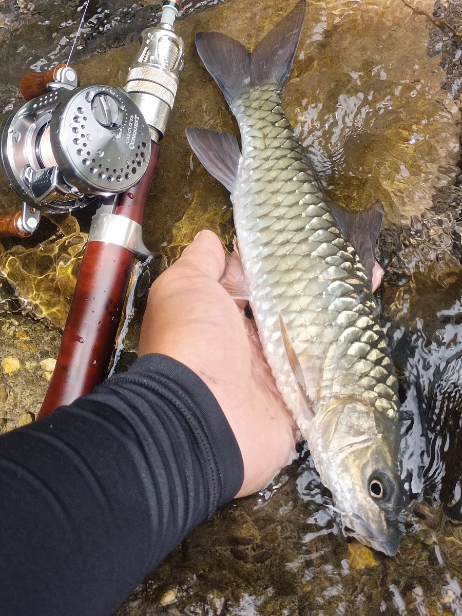 2023/8/19 
萬安溪