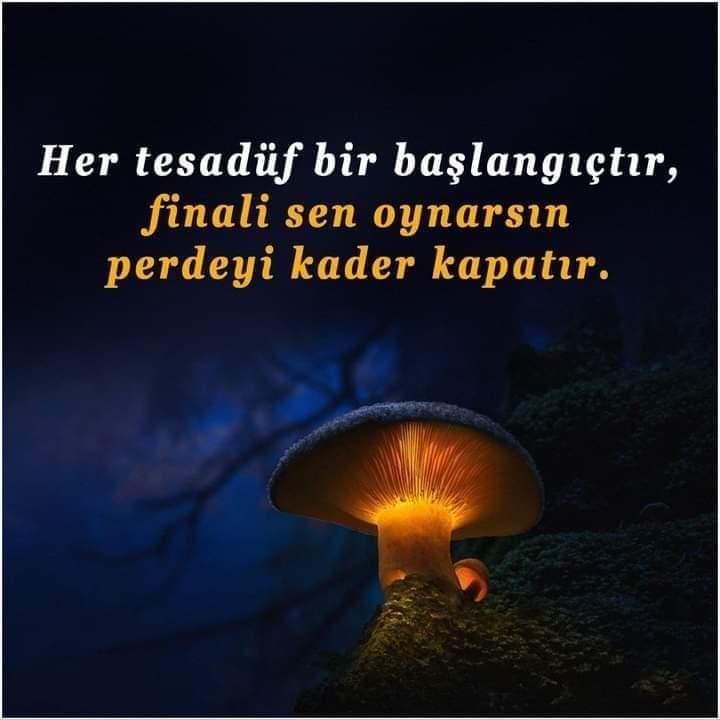 RamazanTur24600's tweet photo. Burdaki bayanların çoğu para ve dalga geçme peşinde açık vede net https://t.co/bhz5Gm7zM9